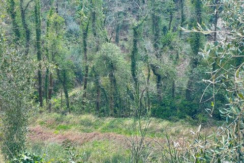 91445m² Land à Corfu, Greece No. 123641 4