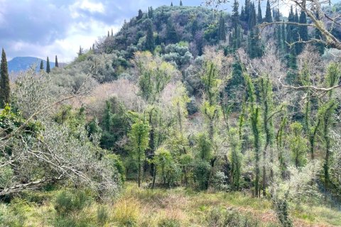 91445m² Land à Corfu, Greece No. 123641 9