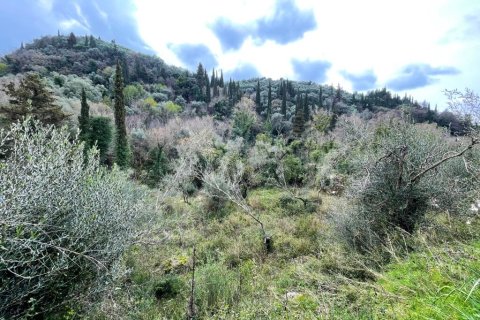 91445m² Land à Corfu, Greece No. 123641 12