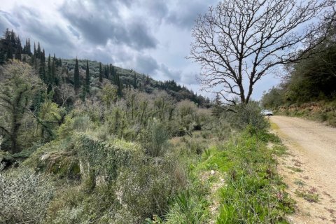 91445m² Land à Corfu, Greece No. 123641 10