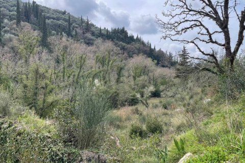 91445m² Land à Corfu, Greece No. 123641 11