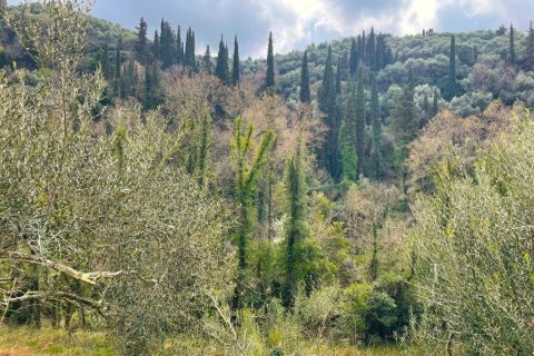 91445m² Land à Corfu, Greece No. 123641 2