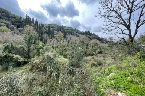 91445m² Land à Corfu, Greece No. 123641 16