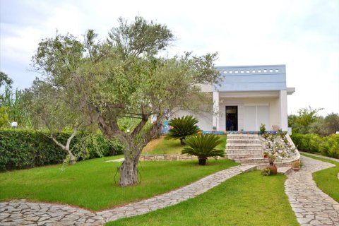 3 bedrooms House in Achaea, Greece No. 59422 1