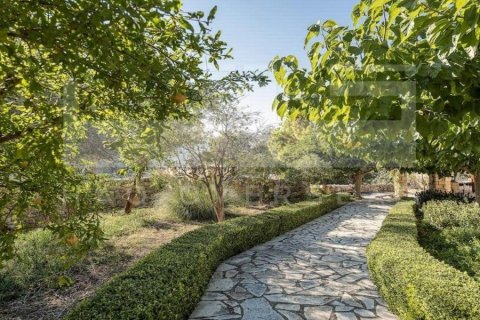 5 bedrooms Villa in Crete, Greece No. 79263 9