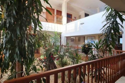 7 bedrooms House in Mazotos, Cyprus No. 77108 5