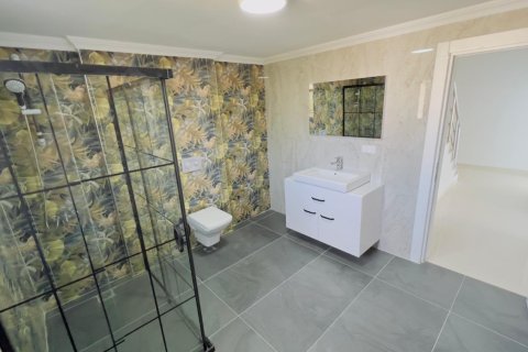 3 bedrooms Penthouse in Bo Ha, Vietnam No. 14244 5