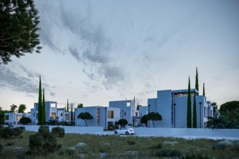 Вилла с 4 комнатами в Пафос, Кипр №107099 11