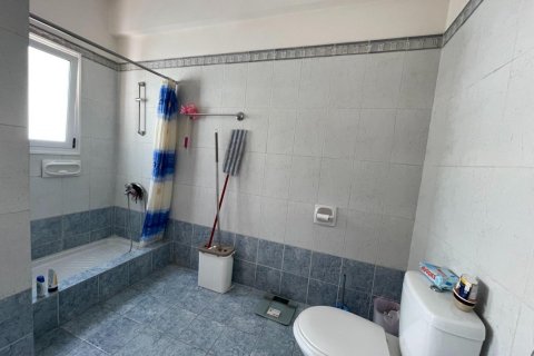 3 bedrooms Villa in Paphos, Cyprus No. 62460 30