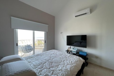 3 bedrooms Villa in Paphos, Cyprus No. 62460 17