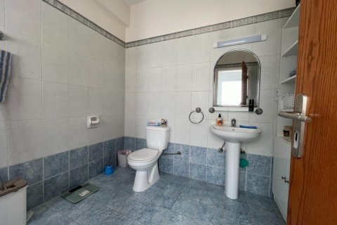 3 bedrooms Villa in Paphos, Cyprus No. 62460 29