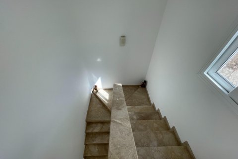 3 bedrooms Villa in Paphos, Cyprus No. 62460 11