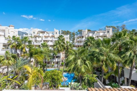 3 bedrooms Penthouse in Thuan Nam, Vietnam No. 27359 27