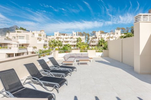 3 bedrooms Penthouse in Thuan Nam, Vietnam No. 27359 23