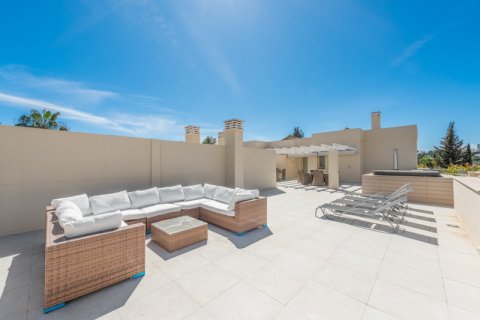 3 bedrooms Penthouse in Thuan Nam, Vietnam No. 27359 1