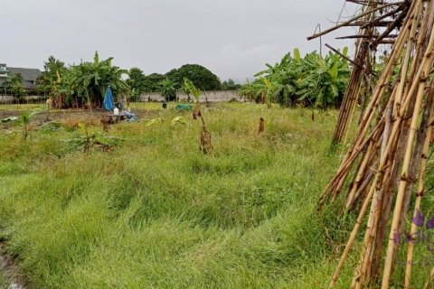 Land en Chiang Mai, Thailand No. 97838 3