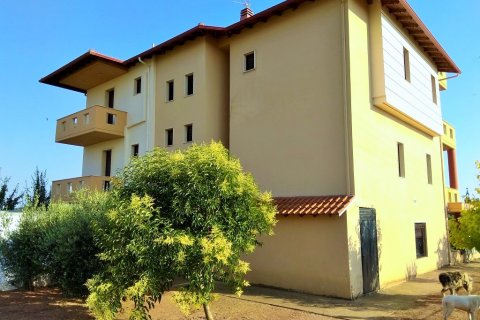 Дом с 6 спальнями в Халкидики, Греция №58077 28