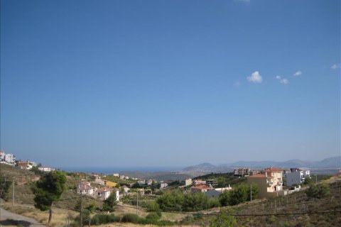 5 bedrooms House in Pikermi, Greece No. 59038 9