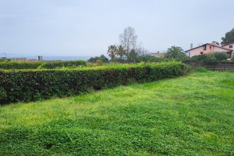 Дом с 3 спальнями в Халкидики, Греция №108163 18