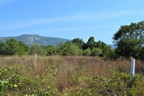 30000m² Land en Corfu, Greece No. 56992 6