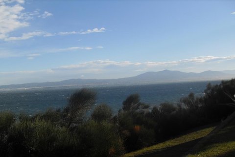 210000m² Land à Thermaic Gulf, Greece No. 60448 11