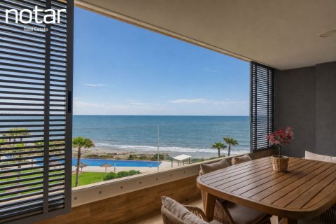 Studio Apartment in Torrevieja, Spain No. 126870