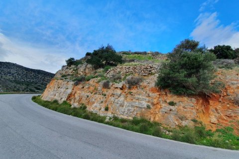 8000m² Land in Lasithi, Greece No. 56675 4