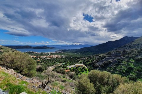 8000m² Land in Lasithi, Greece No. 56675 1