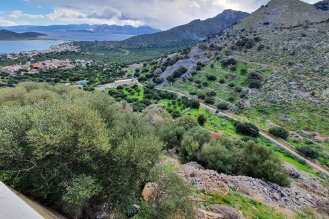 8000m² Land in Lasithi, Greece No. 56675 2