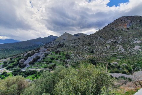 8000m² Land in Lasithi, Greece No. 56675 3