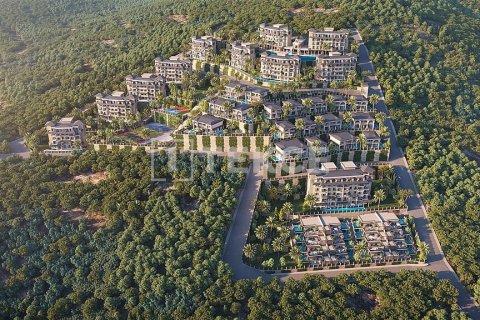 2 bedrooms Apartment in Chau Lang, Vietnam No. 11566 20