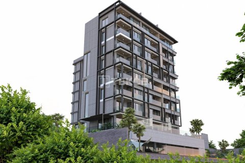 3 dormitorios Penthouse en Chau Lang, Vietnam No. 11510 17