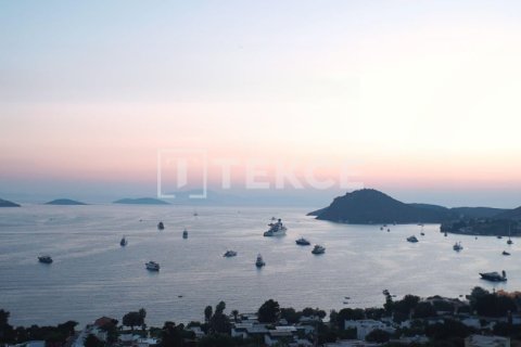 Вилла с 4 спальнями в Phi Dien, Вьетнам №14655 3