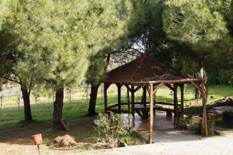 Вилла с 3 спальнями в Салоники, Греция №54431 9