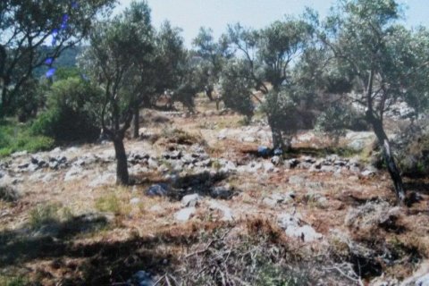 10271m² Land à Sporades, Greece No. 56621 3