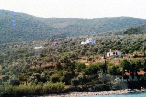 10271m² Land à Sporades, Greece No. 56621 4