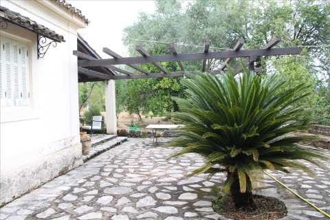 28000m² Land in Corfu, Greece No. 60185 1