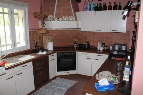 28000m² Land in Corfu, Greece No. 60185 13