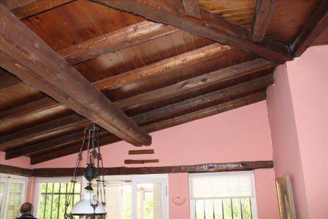 28000m² Land in Corfu, Greece No. 60185 14