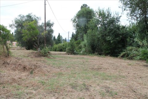 28000m² Land in Corfu, Greece No. 60185 9