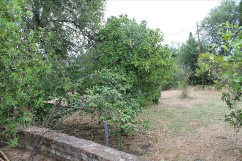 28000m² Land in Corfu, Greece No. 60185 3