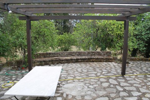 28000m² Land in Corfu, Greece No. 60185 2