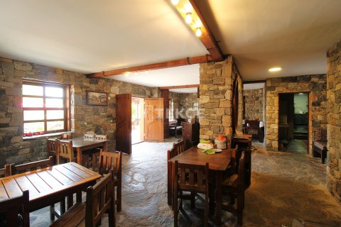 5 bedrooms Villa in Tra Vinh, Vietnam No. 89744 15