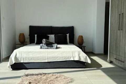 3 dormitorios House en Pegeia, Cyprus No. 101533 10