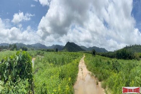 161956m² Land in Phang Nga, Thailand No. 96317 11