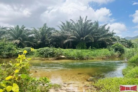 161956m² Land in Phang Nga, Thailand No. 96317 2