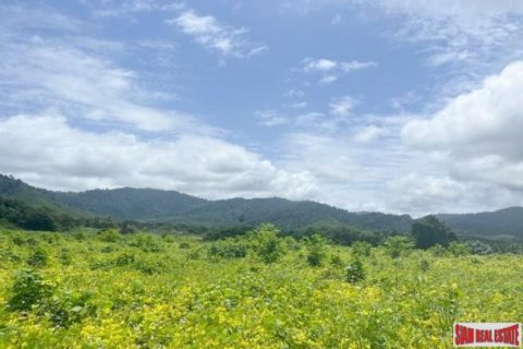 161956m² Land in Phang Nga, Thailand No. 96317 9