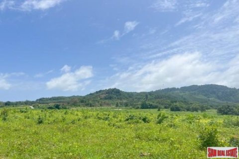 161956m² Land in Phang Nga, Thailand No. 96317 8