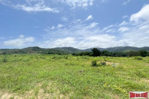 161956m² Land in Phang Nga, Thailand No. 96317 14