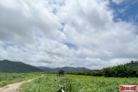 161956m² Land in Phang Nga, Thailand No. 96317 10